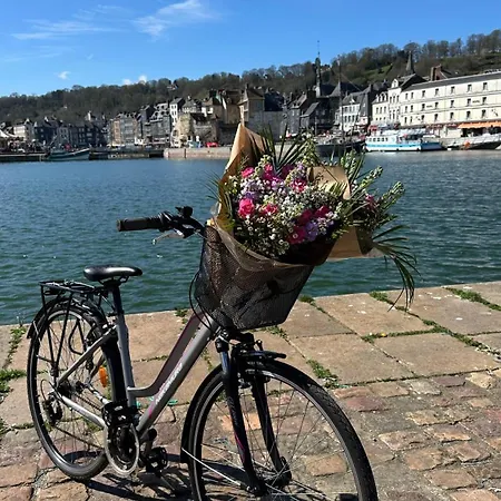 Les Calins D'honfleur *